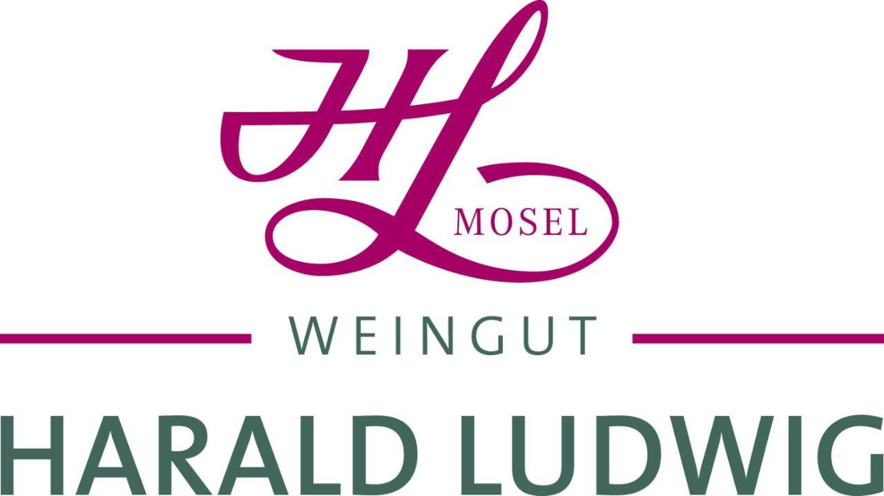 Apartament Weingut Harald Ludwig Osann-Monzel Zewnętrze zdjęcie
