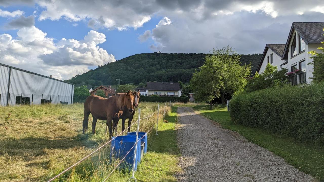 Apartament Weingut Harald Ludwig Osann-Monzel Zewnętrze zdjęcie