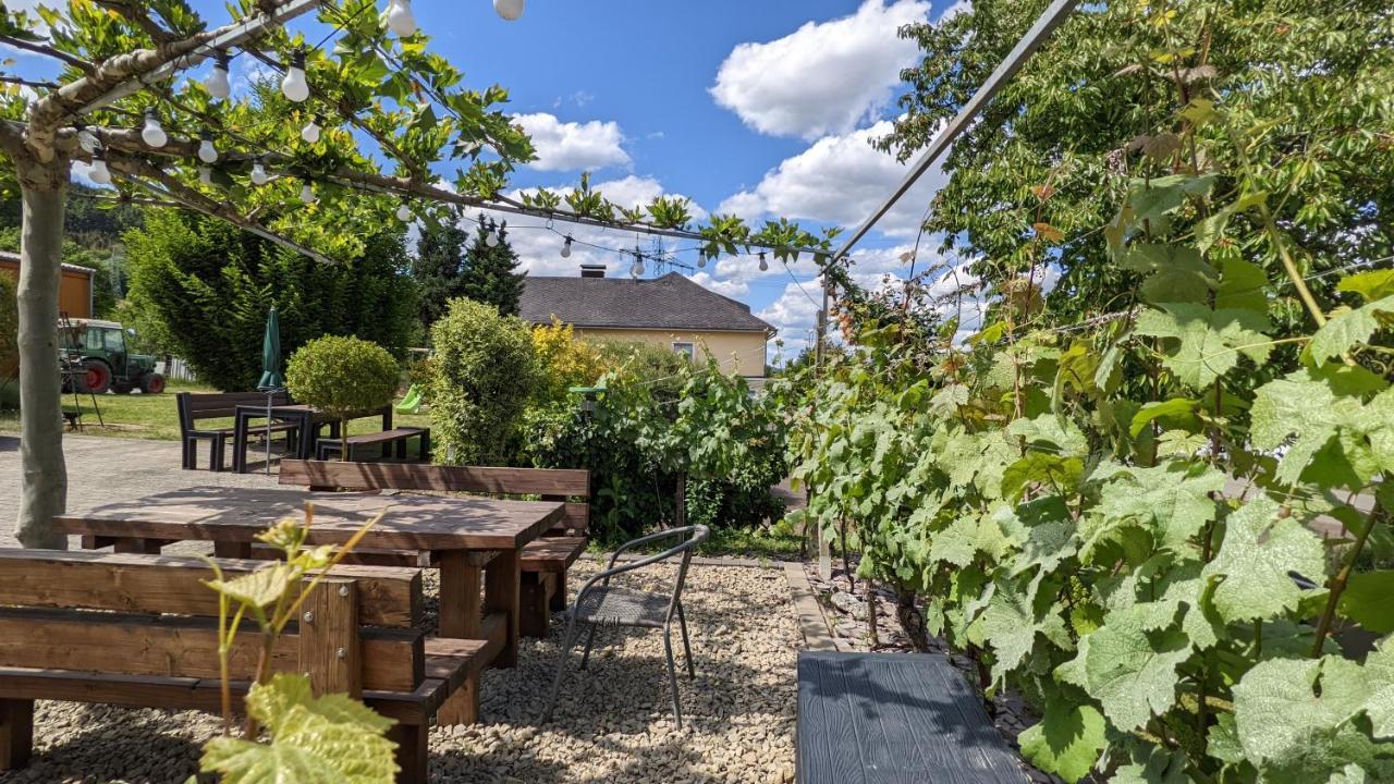 Apartament Weingut Harald Ludwig Osann-Monzel Zewnętrze zdjęcie